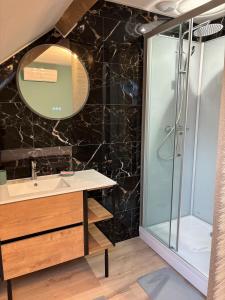 Dun-les-PlacesにあるMaison des tilleulsのシャワー、洗面台、鏡を備えたバスルーム
