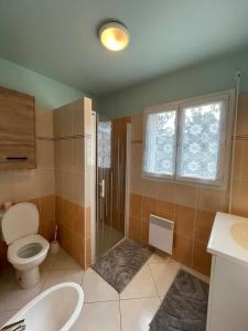 a bathroom with a toilet and a shower and a sink at Family home 7 people, direct beach, sea view in Locquirec +28 photos