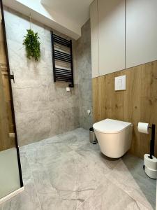 un baño con inodoro y ducha en Apartament Uroczy w Szczyrku na stoku, en Szczyrk
