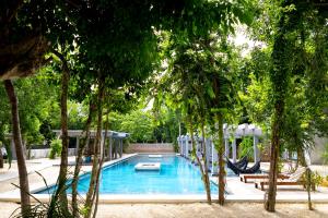 a swimming pool with a hammock and trees at Hotel Casa Tortuga Tulum - Cenotes Park Inclusive in Tulum +34 photos