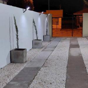three potted plants in pots next to a white wall at Complejo Los Horneros - Departamento in La Porteña