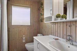 a bathroom with a sink and a toilet and a window at JB102-Fjerritslev-Blabaerstien-7 in Fjerritslev