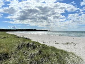 a beach with grass and the ocean on a cloudy day at Holiday Home Efka - 175m from the sea by Interhome in Asnæs