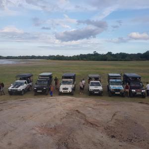 Galería fotográfica de Kumana safariThapobane safari service en Panama
