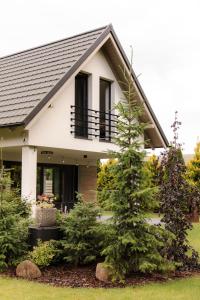 a house with a christmas tree in front of it at BURSZTYNOWA-PRZYSTAŃ in Lubiatowo