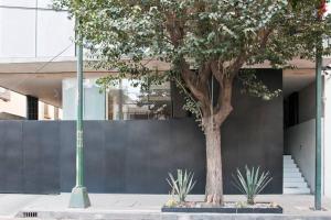 Galeriebild der Unterkunft L'Olive in Mexiko-Stadt