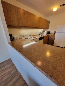 Fotografie z fotogalerie ubytování Beautiful, Spacious, 22 In Elkins Park v destinaci Jenkintown