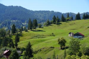a green hillside with a house on it at Casuta CORE in Sadova