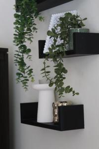 Gallery image of C&S Luxe - Work & Explore - London, Greenwich, Near 02 arena, Nature views, Free Parking & Park retreat perfect for Long stays in Plumstead