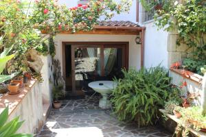 Zahrada ubytování B&B Chorisia