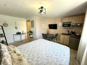 Η κουζίνα ή μικρή κουζίνα στο Les Appartements du Mas - Studio Ambre