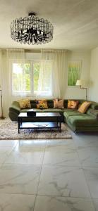 Spacious 3 room close to tram and amenities في نيس: غرفة معيشة بها أريكة خضراء وثريا