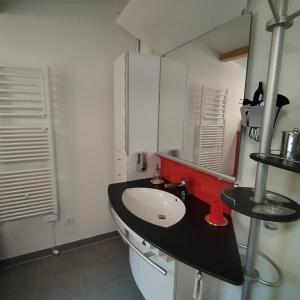 a bathroom with a white sink and a mirror at Chalet le Ponderosa in Le Tholy