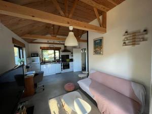 a living room with a pink couch and a kitchen at Le Chalet des Iris in Saint-Maurice-de-Gourdans