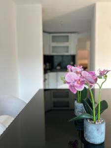Gambar di galeri bagi Golden Deluxe Apartment di Travnik
