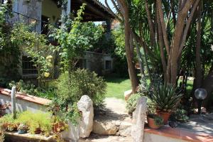 Zahrada ubytování B&B Chorisia