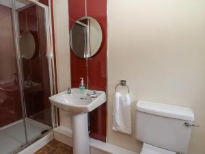 a bathroom with a sink and a toilet and a shower at Glanyrafon in Rhayader +42 photos