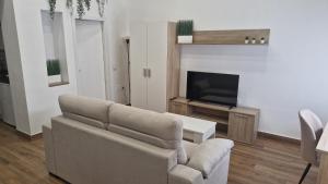 ein Wohnzimmer mit Sofa und Fernseher in der Unterkunft Reding Loft in Bailén