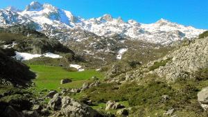 una cordillera nevada con un campo verde en primer plano en Hotel Fitu en Colunga