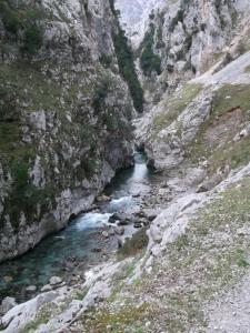 Un río cortando a través de una montaña rocosa con un cañón en Hotel Fitu, en Colunga