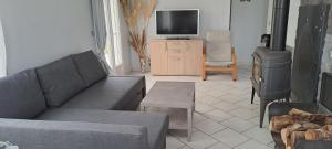 a living room with a couch and a tv at Charmante petite maison in Torcenay +7 photos