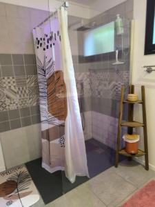 a shower with a shower curtain in a bathroom at Le Doubs repère in Montferrand-le-Château +22 photos