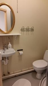 a bathroom with a sink and a toilet and a mirror at Birkikinn Holiday Home in Birkikinn