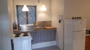 a small kitchen with a sink and a refrigerator at Birkikinn Holiday Home in Birkikinn