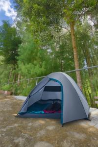 a blue and gray tent sitting in front of trees at Campsite on a terrace within 1km of Ziro Music Festival in Ziro