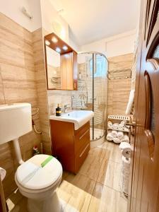 a small bathroom with a toilet and a sink at Berzei Astra - Rise Apartments in Braşov