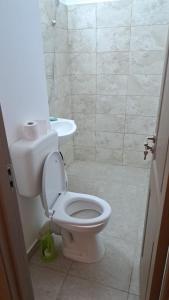 a bathroom with a toilet and a sink at Geoagiu-Bai central studio in Geoagiu Băi