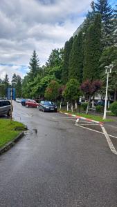 a parking lot with cars parked on the side of a street at Geoagiu-Bai central studio in Geoagiu Băi
