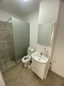 a bathroom with a toilet and a sink and a shower at Ploiesti-Republicii RH in Ploieşti +7 photos