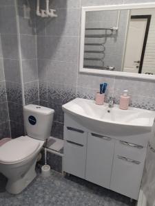 Un baño con inodoro, lavabo y espejo. en Квартира посуточно в Шахтинске, en Shakhtīnsk