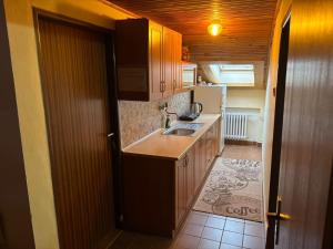 a kitchen with a sink and a counter top at Tatra Roof Room in Nová Lesná