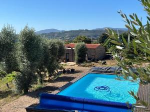 a swimming pool in the yard of a house at Quinta do Socalco in Caminha