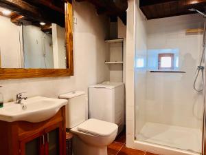 a bathroom with a toilet and a sink and a shower at El Pequeño Mirador de Cabárceno in Penagos +12 photos