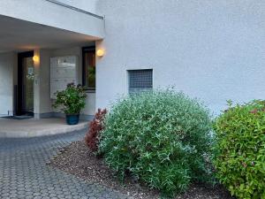 En have udenfor Ferienwohnung an der Roseninsel