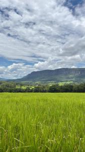 a field of green grass with a mountain in the background at Casa Serra da Canastra - Chicó in São Roque de Minas