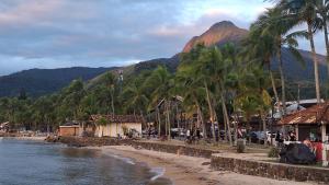 a beach with palm trees and a mountain in the background at Gizele Sander Arte & Hospedagem in Ilhabela