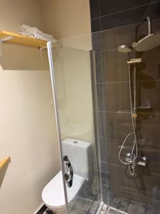a bathroom with a toilet and a glass shower at Fatih Balat tarihin içinden konut - 3 in Istanbul