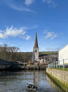 un cane in piedi nell'acqua davanti a una chiesa di Emma's Cottage a Glenarm