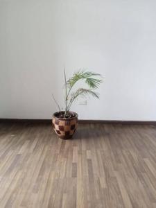 Φωτογραφία από το άλμπουμ του Kilimani Harbour Studio στο Ναϊρόμπι