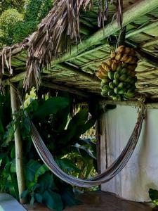 Φωτογραφία από το άλμπουμ του Ganesh Hostel σε El Valle