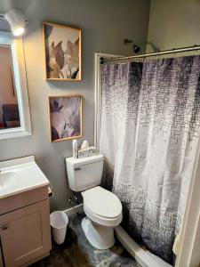 a bathroom with a toilet and a shower curtain at Red Roof Cottage 2 •hot tub• fire pit• cold plunge in Nampa