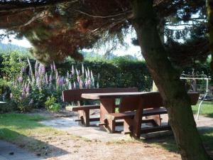two park benches sitting next to a tree at Holiday apartment in Nahrendorf with barbecue in Nahrendorf