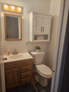 a bathroom with a toilet and a sink and a mirror at Four Bedroom Family and friends cozy home in Sterling Heights +13 photos