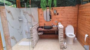 a bathroom with a toilet and a sink and a mirror at La cabaña de Punta Larga in Nobsa