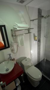 y baño con aseo, lavabo y ducha. en Hotel Granada Plaza, en Manizales