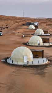 Al RakaにあるEssa camp in Wahiba Sandsの砂漠の集団